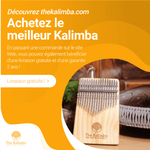 instrument kalimba 17 notes thekalimba®