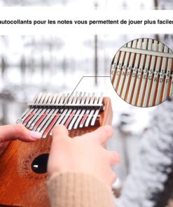 [Kalimba Gecko con custodia rigida - 17 note in mogano adesivo geco kalimba
